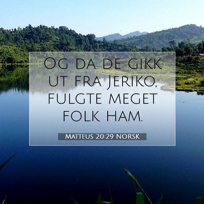 Picture 07 - Matteus 20:29 NORSK - Og da de gikk ut fra Jeriko, fulgte meget folk - Bible Verse Picture