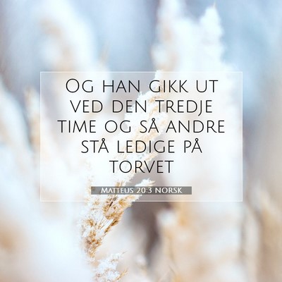 Picture 07 - Matteus 20:3 NORSK - Og han gikk ut ved den tredje time og så andre - Bible Verse Picture