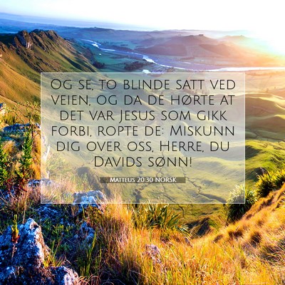 Picture 07 - Matteus 20:30 NORSK - Og se, to blinde satt ved veien, og da de hørte - Bible Verse Picture