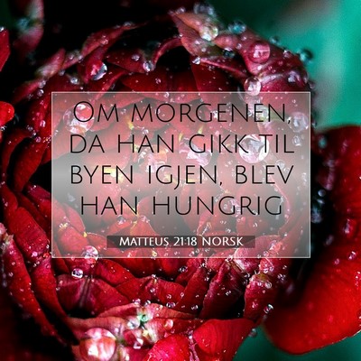Picture 07 - Matteus 21:18 NORSK - Om morgenen, da han gikk til byen igjen, blev han - Bible Verse Picture