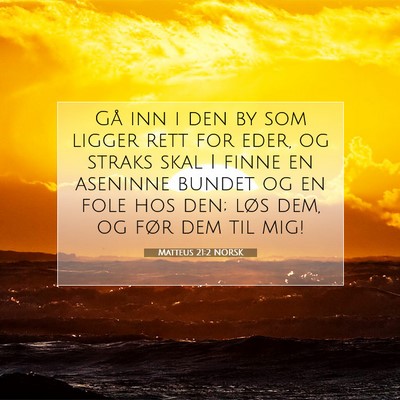 Picture 07 - Matteus 21:2 NORSK - Gå inn i den by som ligger rett for eder, og - Bible Verse Picture