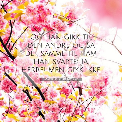 Picture 07 - Matteus 21:30 NORSK - Og han gikk til den andre og sa det samme til - Bible Verse Picture