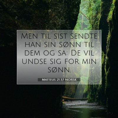 Picture 07 - Matteus 21:37 NORSK - Men til sist sendte han sin sønn til dem og sa: - Bible Verse Picture