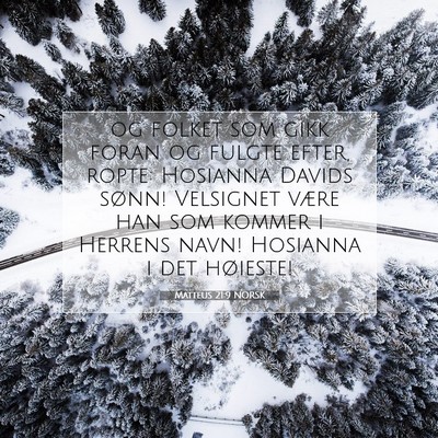 Picture 07 - Matteus 21:9 NORSK - og folket som gikk foran og fulgte efter, ropte: - Bible Verse Picture