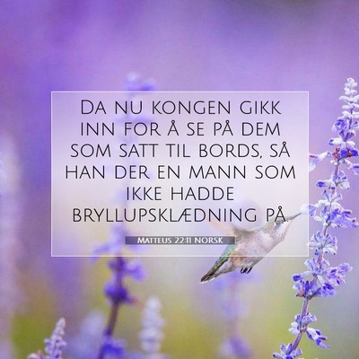 Picture 07 - Matteus 22:11 NORSK - Da nu kongen gikk inn for å se på dem som satt - Bible Verse Picture