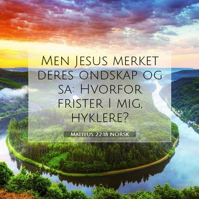 Picture 07 - Matteus 22:18 NORSK - Men Jesus merket deres ondskap og sa: Hvorfor - Bible Verse Picture