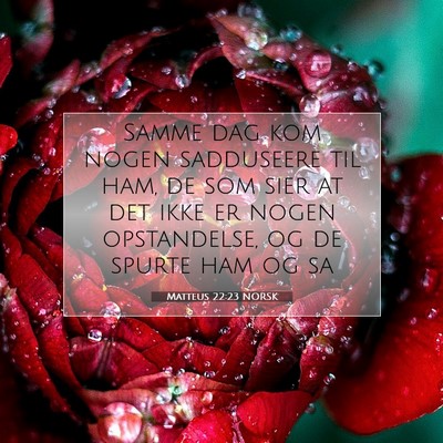 Picture 07 - Matteus 22:23 NORSK - Samme dag kom nogen sadduseere til ham, de som - Bible Verse Picture