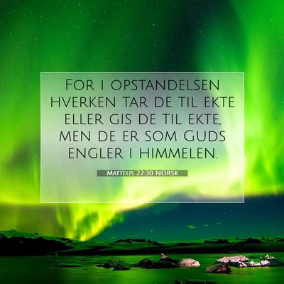 Picture 07 - Matteus 22:30 NORSK - For i opstandelsen hverken tar de til ekte eller - Bible Verse Picture