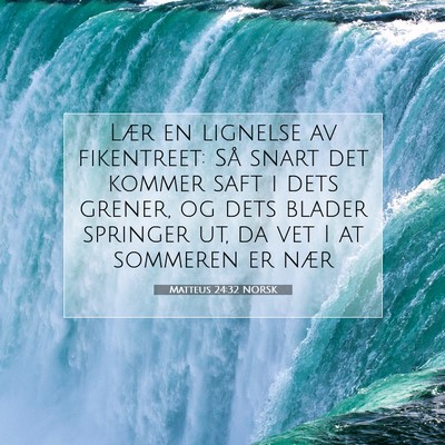 Picture 07 - Matteus 24:32 NORSK - Lær en lignelse av fikentreet: Så snart det - Bible Verse Picture