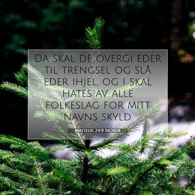 Picture 07 - Matteus 24:9 NORSK - Da skal de overgi eder til trengsel og slå eder - Bible Verse Picture