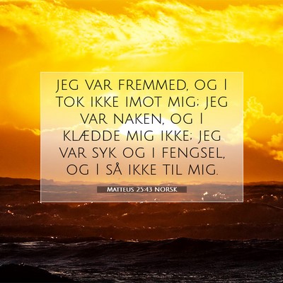 Picture 07 - Matteus 25:43 NORSK - jeg var fremmed, og I tok ikke imot mig; jeg var - Bible Verse Picture