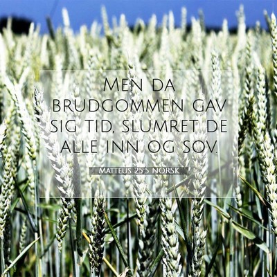 Picture 07 - Matteus 25:5 NORSK - Men da brudgommen gav sig tid, slumret de alle - Bible Verse Picture