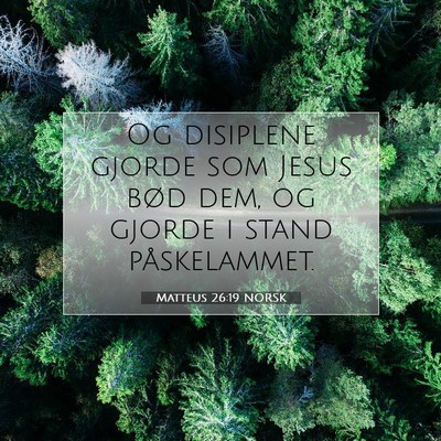 Picture 07 - Matteus 26:19 NORSK - Og disiplene gjorde som Jesus bød dem, og gjorde - Bible Verse Picture