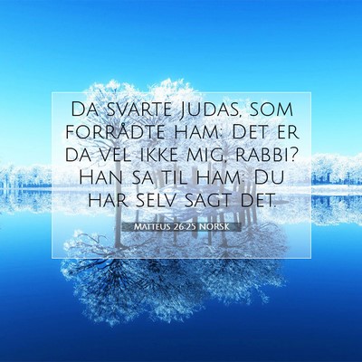 Picture 07 - Matteus 26:25 NORSK - Da svarte Judas, som forrådte ham: Det er da vel - Bible Verse Picture