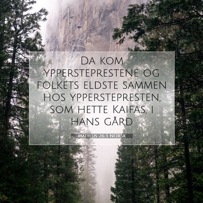 Picture 07 - Matteus 26:3 NORSK - Da kom yppersteprestene og folkets eldste sammen - Bible Verse Picture