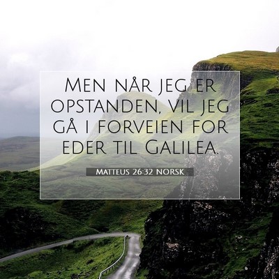 Picture 07 - Matteus 26:32 NORSK - Men når jeg er opstanden, vil jeg gå i forveien - Bible Verse Picture