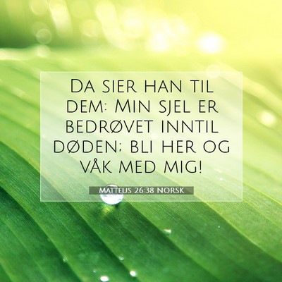 Picture 07 - Matteus 26:38 NORSK - Da sier han til dem: Min sjel er bedrøvet inntil - Bible Verse Picture