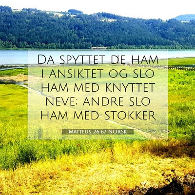 Picture 07 - Matteus 26:67 NORSK - Da spyttet de ham i ansiktet og slo ham med - Bible Verse Picture