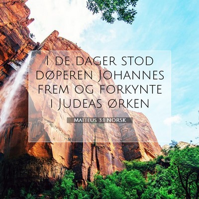 Picture 07 - Matteus 3:1 NORSK - I de dager stod døperen Johannes frem og - Bible Verse Picture