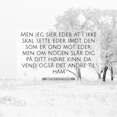 Picture 07 - Matteus 5:39 NORSK - Men jeg sier eder at I ikke skal sette eder imot - Bible Verse Picture