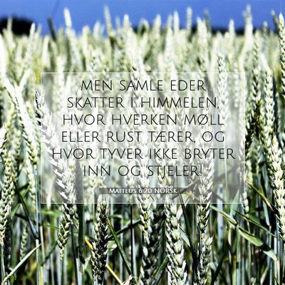Picture 07 - Matteus 6:20 NORSK - men samle eder skatter i himmelen, hvor hverken - Bible Verse Picture
