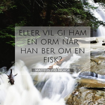 Picture 07 - Matteus 7:10 NORSK - eller vil gi ham en orm når han ber om en - Bible Verse Picture