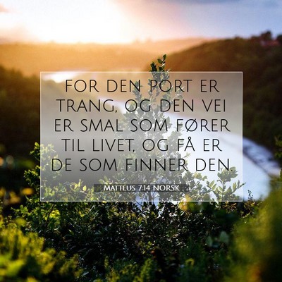 Picture 07 - Matteus 7:14 NORSK - for den port er trang, og den vei er smal som - Bible Verse Picture