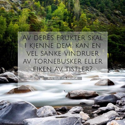 Picture 07 - Matteus 7:16 NORSK - Av deres frukter skal I kjenne dem; kan en vel - Bible Verse Picture