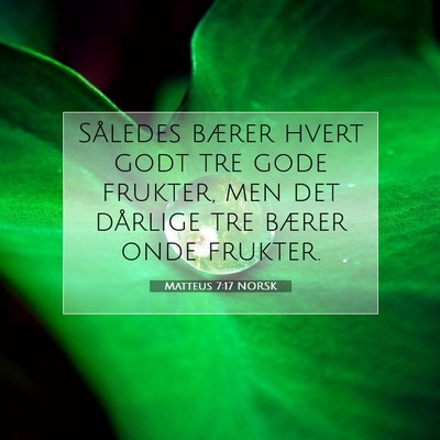 Picture 07 - Matteus 7:17 NORSK - Således bærer hvert godt tre gode frukter, men - Bible Verse Picture