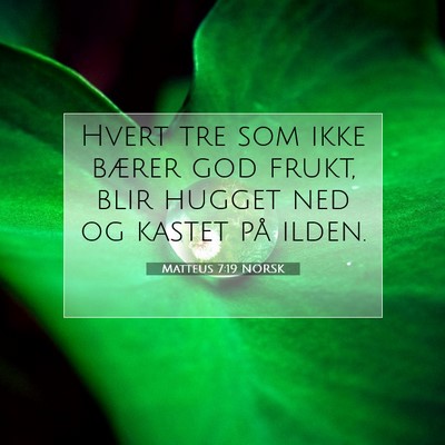 Picture 07 - Matteus 7:19 NORSK - Hvert tre som ikke bærer god frukt, blir hugget - Bible Verse Picture