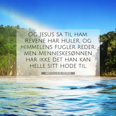 Picture 07 - Matteus 8:20 NORSK - Og Jesus sa til ham: Revene har huler, og - Bible Verse Picture