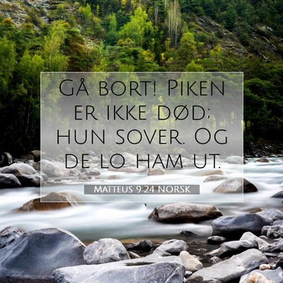 Picture 07 - Matteus 9:24 NORSK - Gå bort! Piken er ikke død; hun sover. Og de lo - Bible Verse Picture