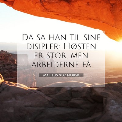 Picture 07 - Matteus 9:37 NORSK - Da sa han til sine disipler: Høsten er stor, men - Bible Verse Picture