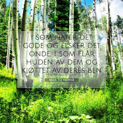 Picture 07 - Mika 3:2 NORSK - I som hater det gode og elsker det onde, I som - Bible Verse Picture