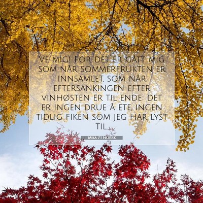 Picture 07 - Mika 7:1 NORSK - Ve mig! For det er gått mig som når - Bible Verse Picture
