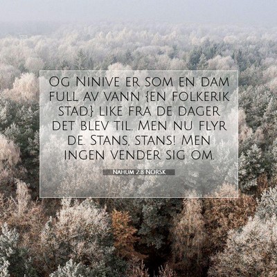 Picture 07 - Nahum 2:8 NORSK - Og Ninive er som en dam full av vann {en folkerik - Bible Verse Picture