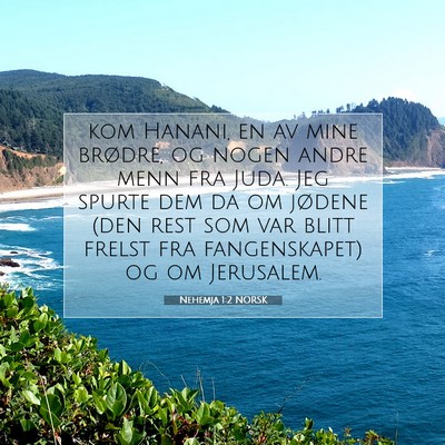 Picture 07 - Nehemja 1:2 NORSK - kom Hanani, en av mine brødre, og nogen andre - Bible Verse Picture