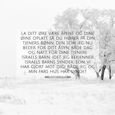 Picture 07 - Nehemja 1:6 NORSK - La ditt øre være åpent og dine øine oplatt, - Bible Verse Picture