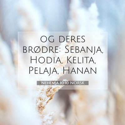 Picture 07 - Nehemja 10:10 NORSK - og deres brødre: Sebanja, Hodia, Kelita, Pelaja, - Bible Verse Picture