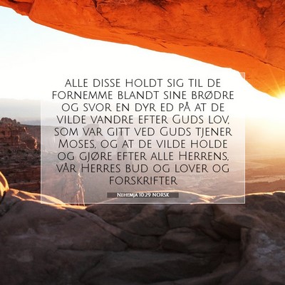 Picture 07 - Nehemja 10:29 NORSK - alle disse holdt sig til de fornemme blandt sine - Bible Verse Picture