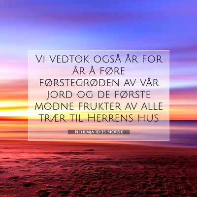 Picture 07 - Nehemja 10:35 NORSK - Vi vedtok også år for år å føre - Bible Verse Picture