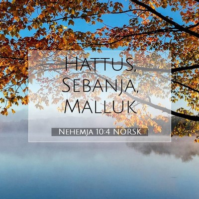 Picture 07 - Nehemja 10:4 NORSK - Hattus, Sebanja, - Bible Verse Picture