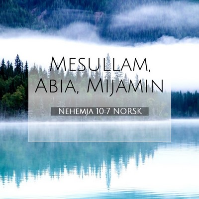 Picture 07 - Nehemja 10:7 NORSK - Mesullam, Abia, - Bible Verse Picture