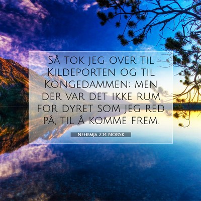 Picture 07 - Nehemja 2:14 NORSK - Så tok jeg over til Kildeporten og til - Bible Verse Picture