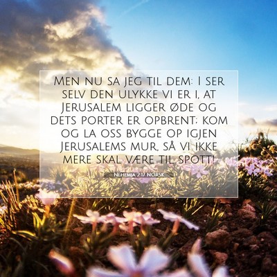 Picture 07 - Nehemja 2:17 NORSK - Men nu sa jeg til dem: I ser selv den ulykke vi - Bible Verse Picture