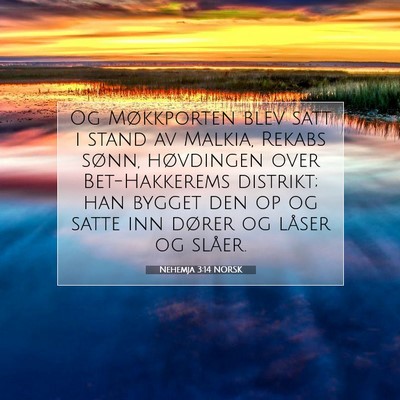 Picture 07 - Nehemja 3:14 NORSK - Og Møkkporten blev satt i stand av Malkia, - Bible Verse Picture