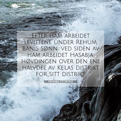 Picture 07 - Nehemja 3:17 NORSK - Efter ham arbeidet levittene under Rehum, Banis - Bible Verse Picture