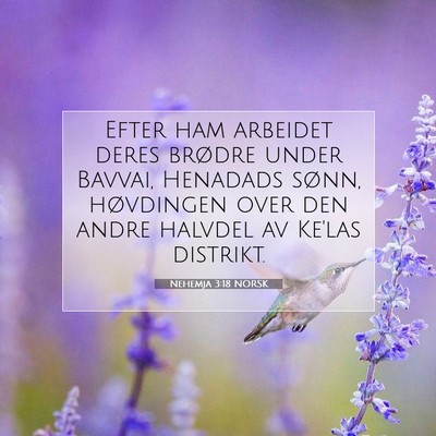 Picture 07 - Nehemja 3:18 NORSK - Efter ham arbeidet deres brødre under Bavvai, - Bible Verse Picture