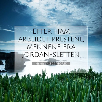 Picture 07 - Nehemja 3:22 NORSK - Efter ham arbeidet prestene, mennene fra - Bible Verse Picture
