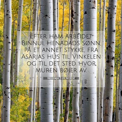 Picture 07 - Nehemja 3:24 NORSK - Efter ham arbeidet Binnui, Henadads sønn, på et - Bible Verse Picture